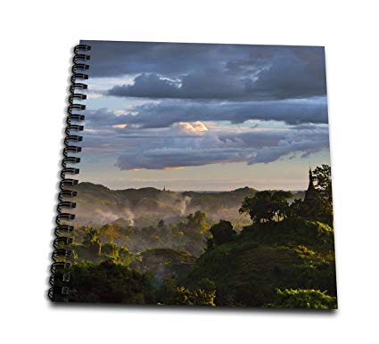 425x386 rose jungle in sunset mist drawing book - 3d Rose Drawing