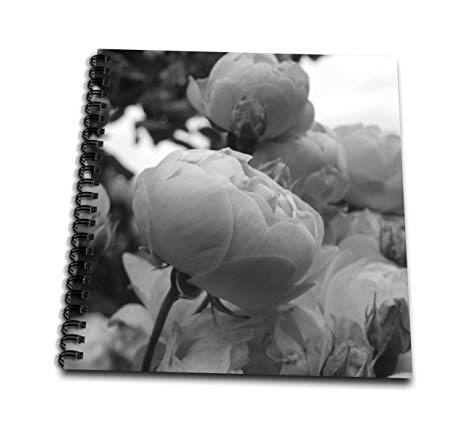 463x421 Rose Db Black And White Rose - 3d Rose Drawing