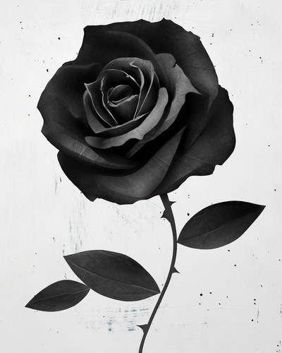 400x500 Graphic Rose Drawing Tattoo Best Tattoo Ideas Gallery - 3d Rose Drawing