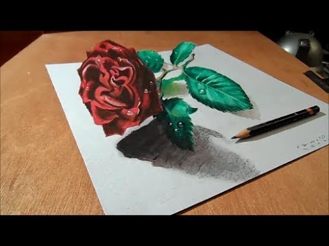 480x360 How To Draw Rose - 3d Rose Drawing