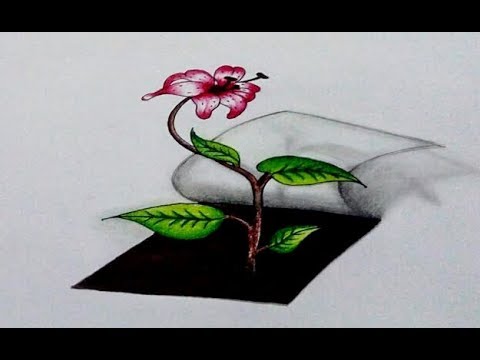 480x360 art how to draw a flower blooming realistic in rose - 3d Rose Drawing