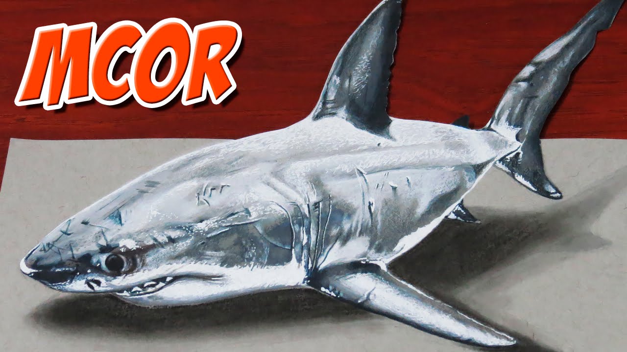 1280x720 Drawing A Shark - 3d Shark Drawing
