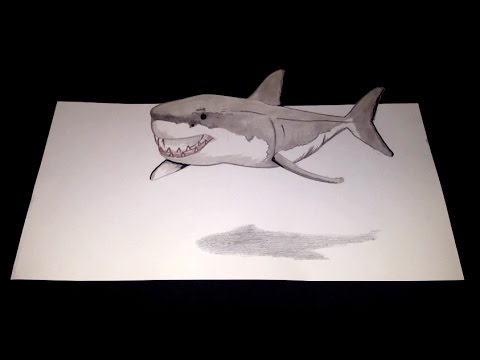480x360 How To Draw A Shark Illusion - 3d Shark Drawing