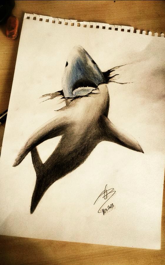 561x900 Shark Drawing Drawings Drawings, Shark Drawing, Drawings - 3d Shark Drawing