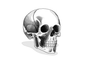 300x200 How To Draw A Skull Step - 3d Skull Drawing
