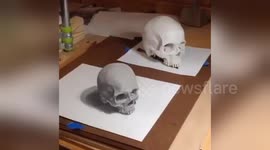 270x150 Newsflare - 3d Skull Drawing