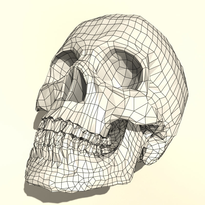 800x800 Anatomical Human Skull - 3d Skull Drawing
