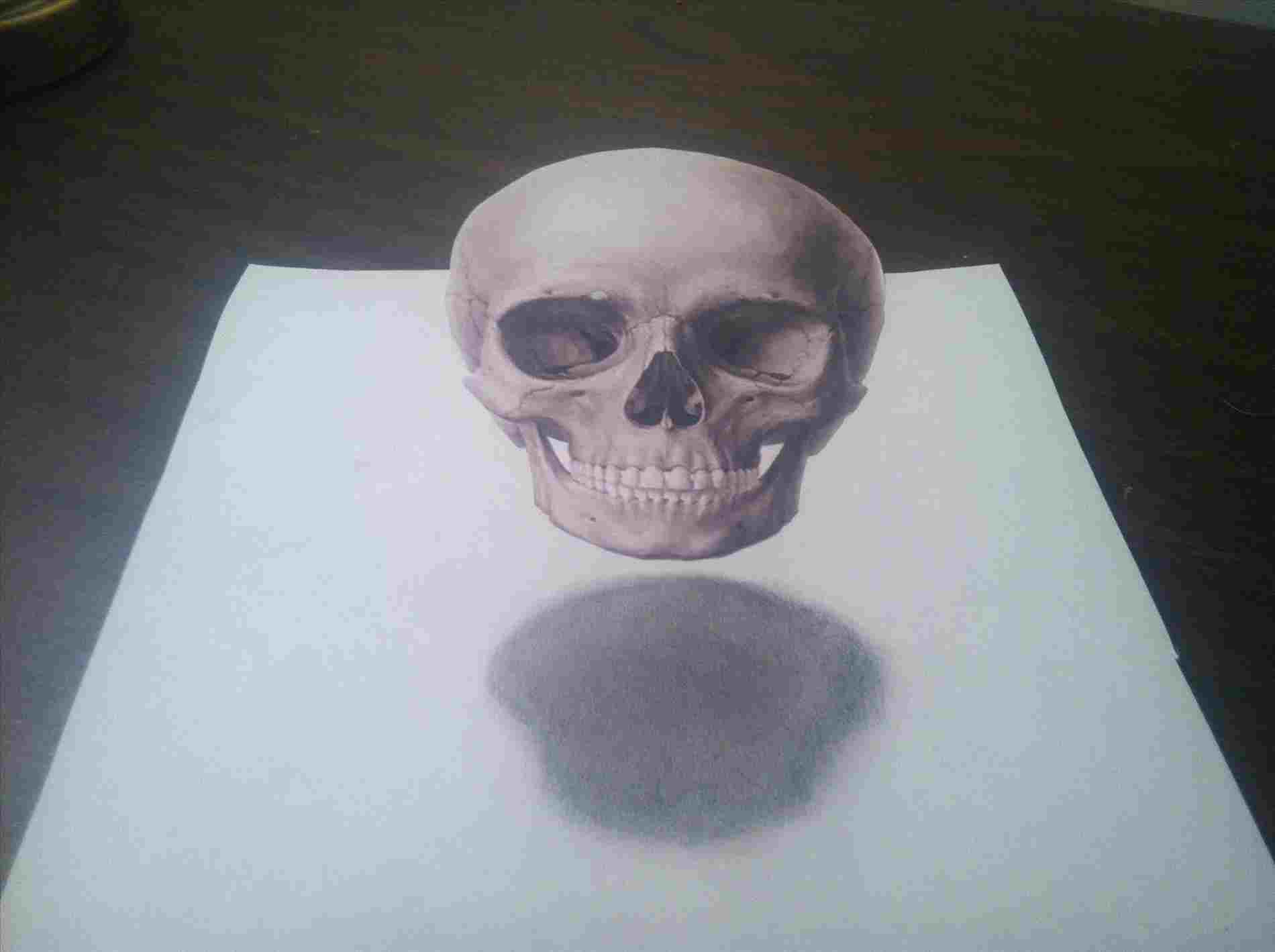 1900x1419 D Skull Drawing Skull Awesome Pictures Amazing Anamorphics - 3d Skull Drawing