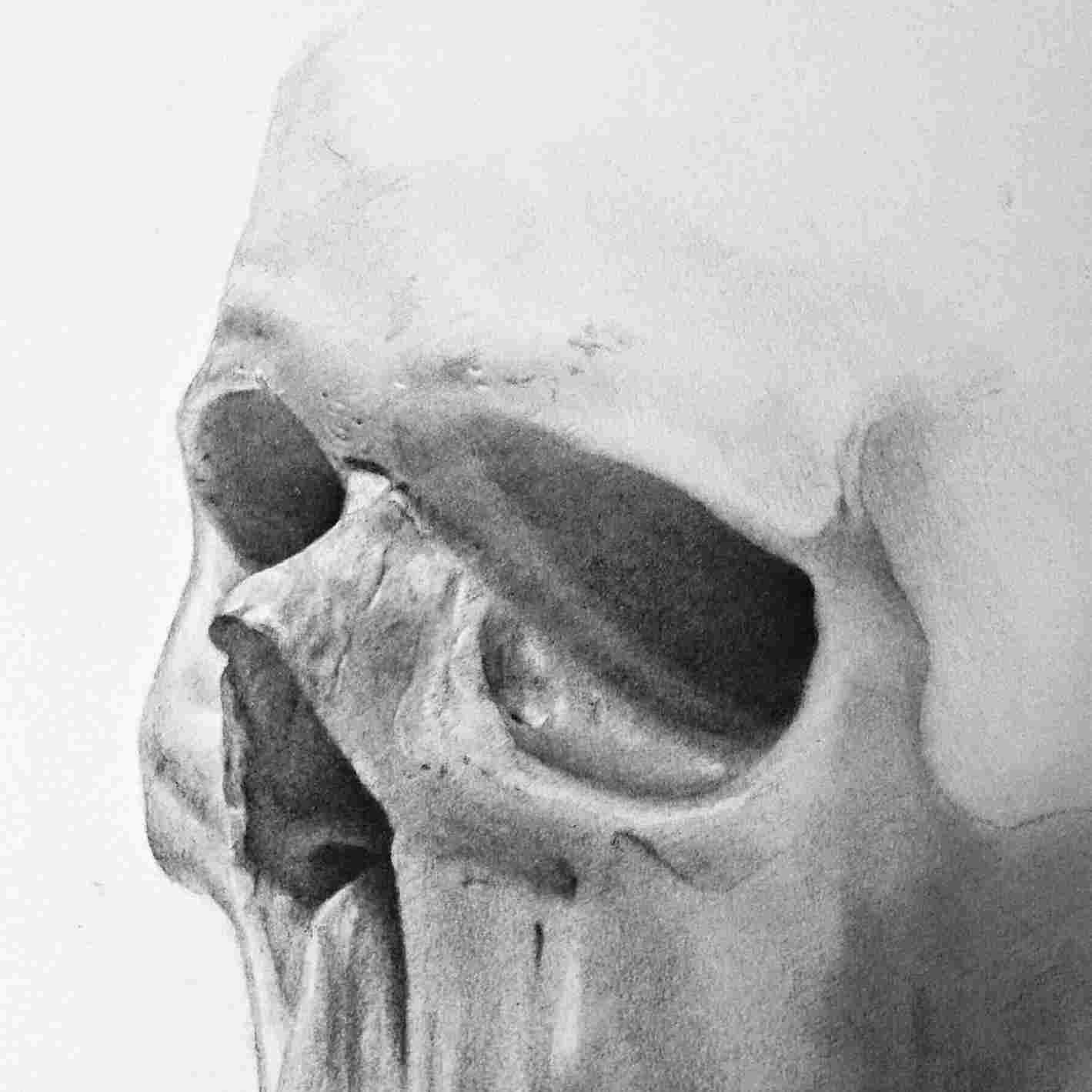 1419x1419 On Clipart Rhclipartlibrarycom Collection Of D Ubisaferhubisafeorg - 3d Skull Drawing