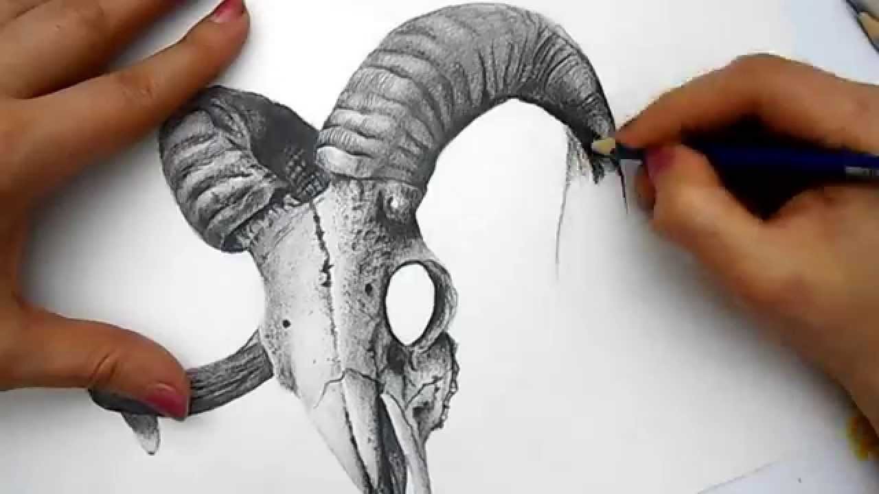 1280x720 Skull Drawing - 3d Skull Drawing