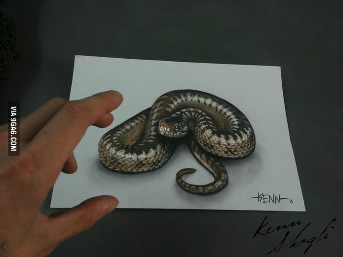 700x525 Snake Drawing - 3d Snake Drawing