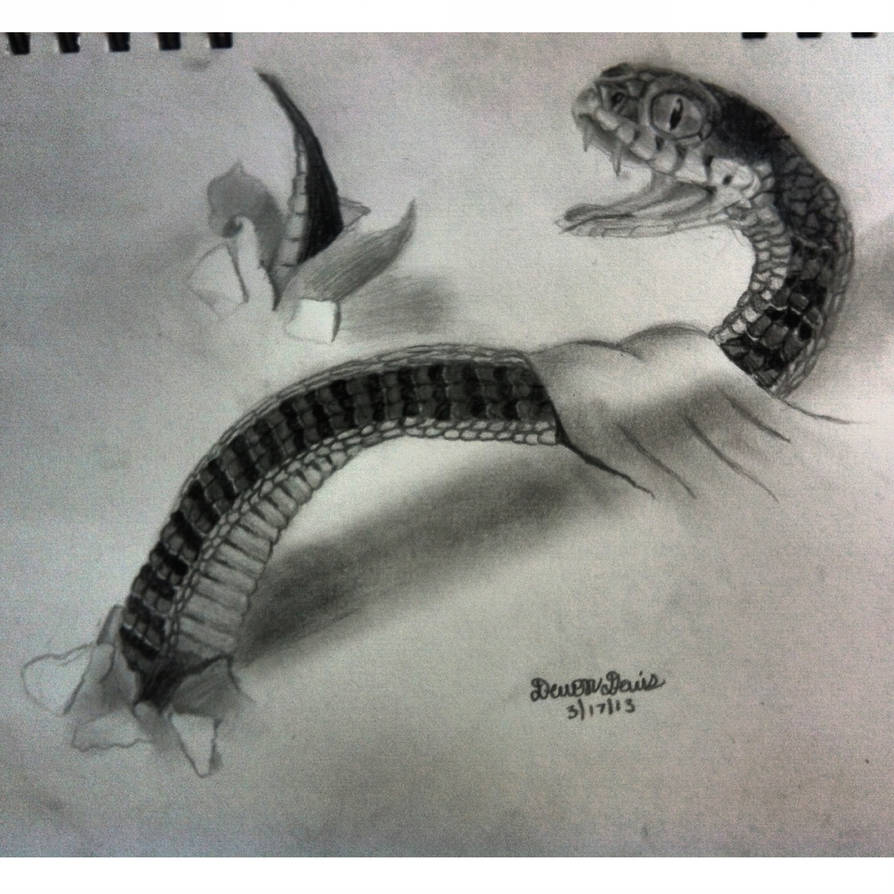 894x894 Snake Drawing - 3d Snake Drawing