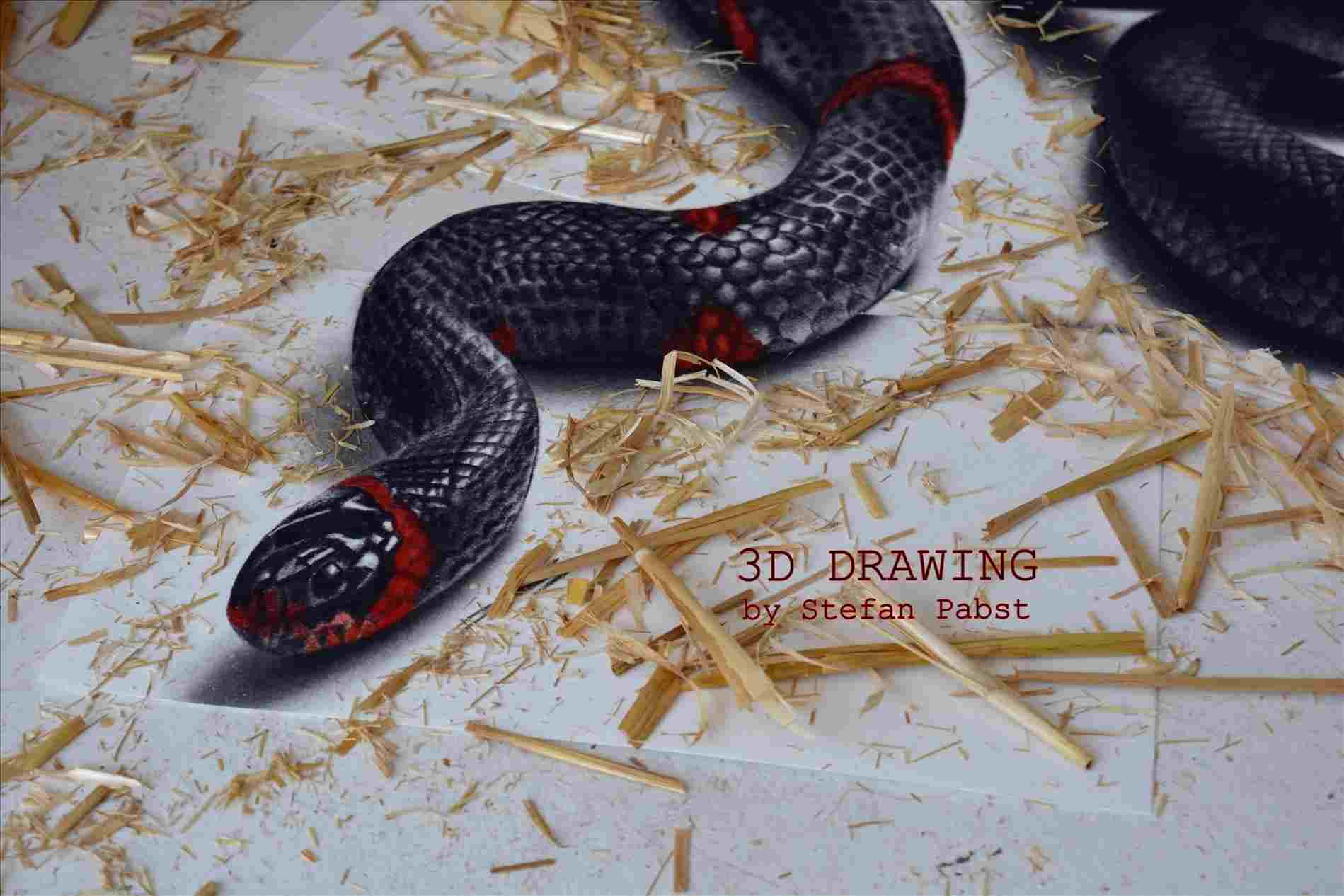 1899x1266 At Getdrawingscom Free For Personal Use Rhgetdrawingscom D Drawing - 3d Snake Drawing