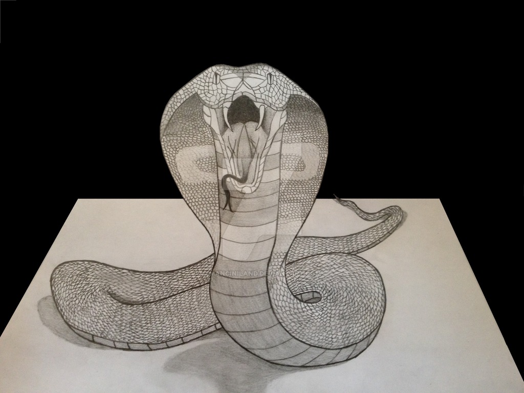 1024x768 Gallery Snake Drawings In Pencil - 3d Snake Drawing