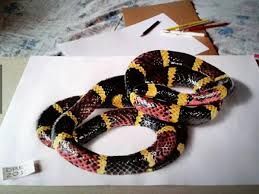 259x194 Image Result For Snake Drawing Snake Drawing, Drawings - 3d Snake Drawing