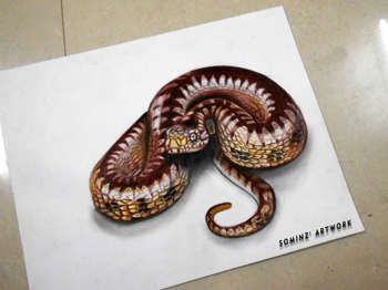 350x262 Realistic Drawing Of A Snake Art Pencil Drawings, Drawings - 3d Snake Drawing