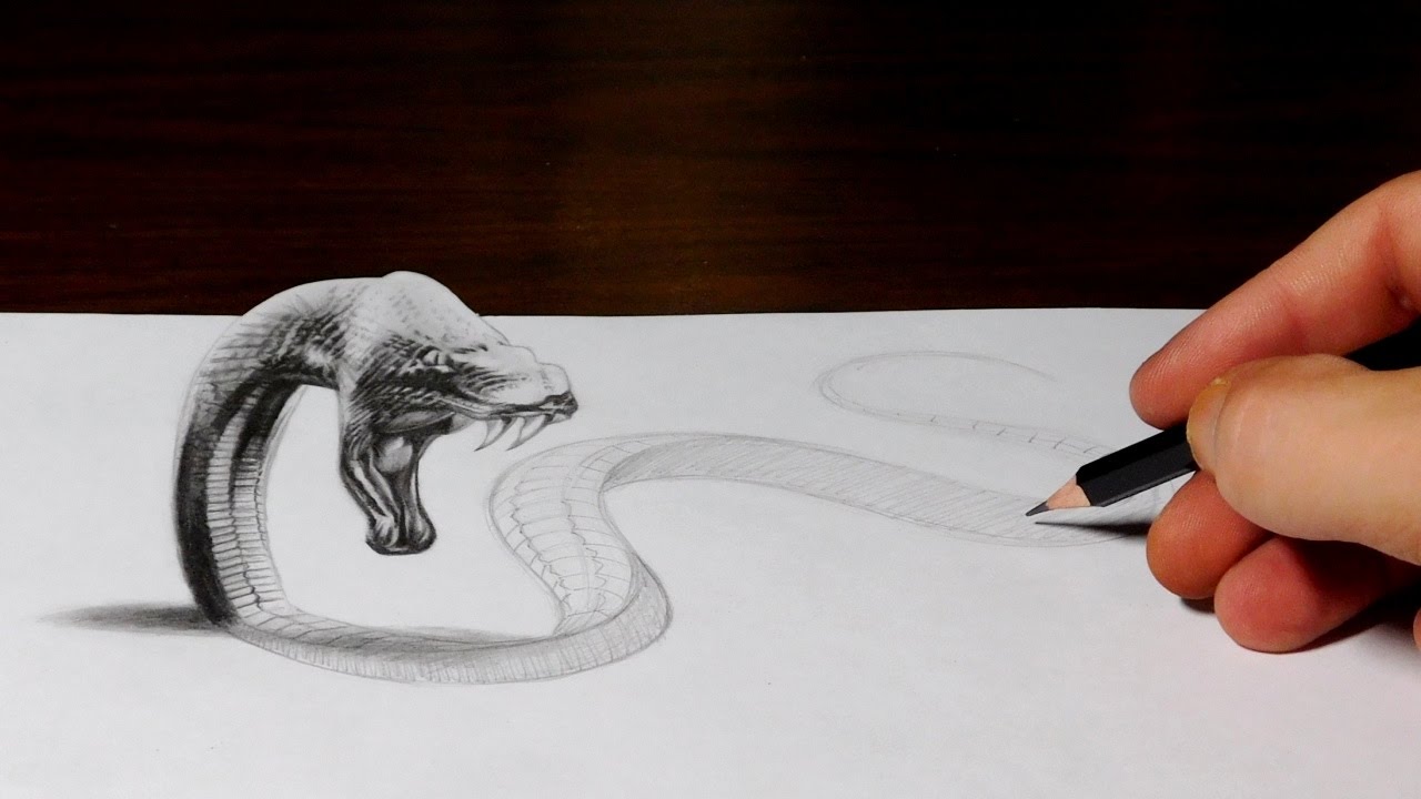 1280x720 Snake Drawing Comes To Life - 3d Snake Drawing