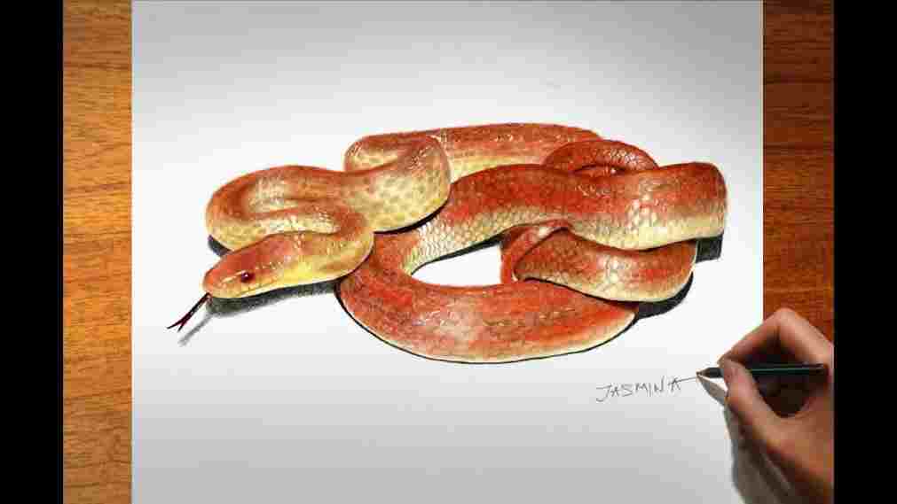 3d Snake Drawing At Paintingvalley.com 