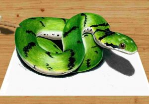 300x210 Rhdesigntrendscom D Snake Drawing Pencil Pencil Drawings Art - 3d Snake Drawing