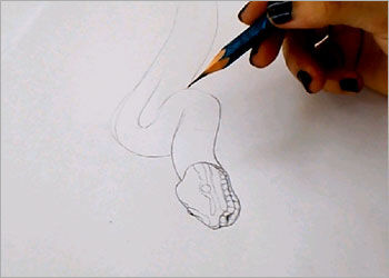 350x250 Drawings How To Make Snake Step - 3d Snake Drawing