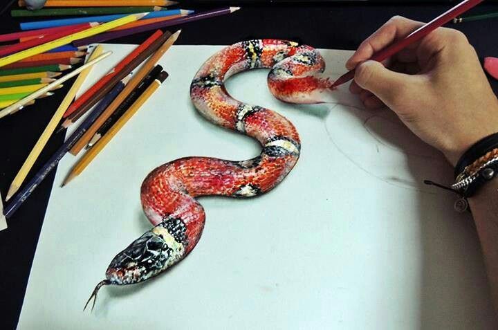 720x477 Snake Sketchbook Art Drawing, Drawings, Color Pencil Art - 3d Snake Drawing