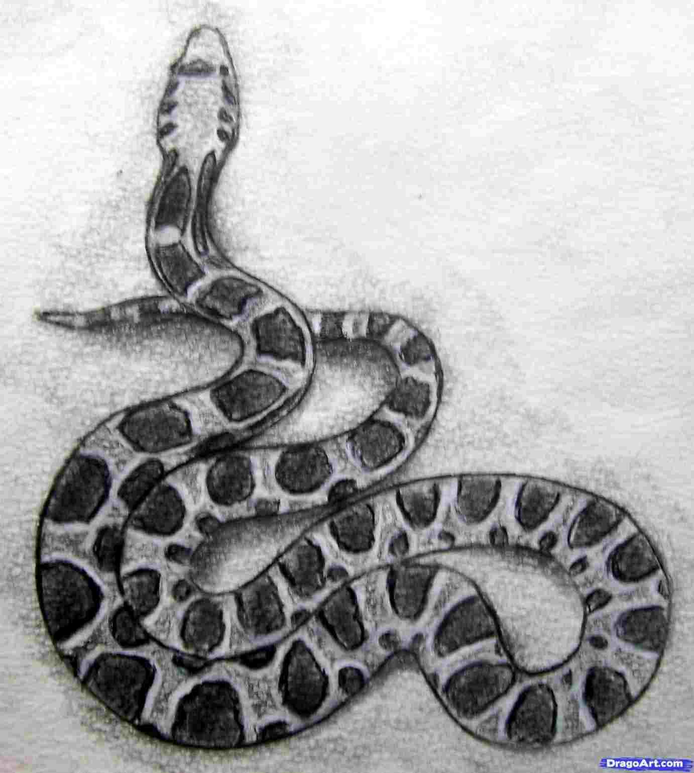 1382x1538 Snake D Snake Drawings In Pencil Drawing Artistrhartsdrawingcom - 3d Snake Drawing