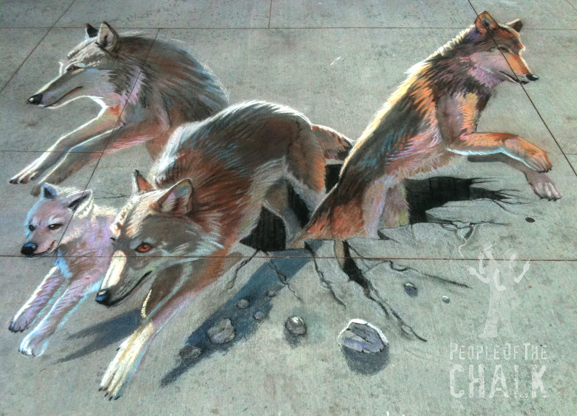 2006x1446 Csu Wolves - 3d Wolf Drawings