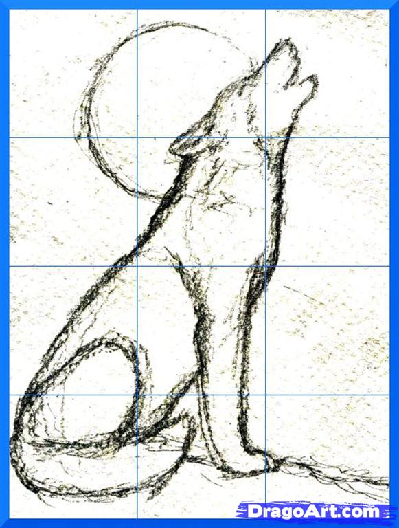 581x768 Drawn Art Wolf - 3d Wolf Drawings