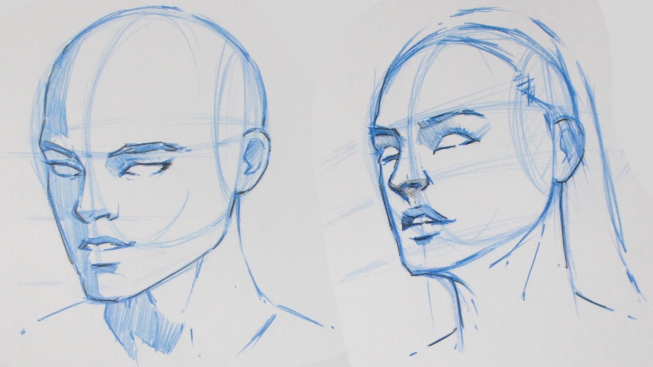 1280x720 How To Draw The Human Head - 4 Drawing