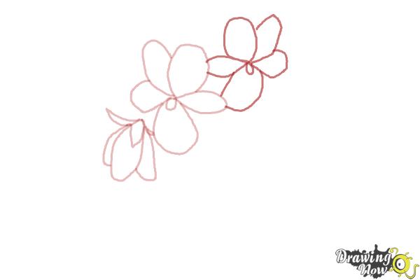600x400 how to draw simple flowers - 5 Petal Flower Drawing