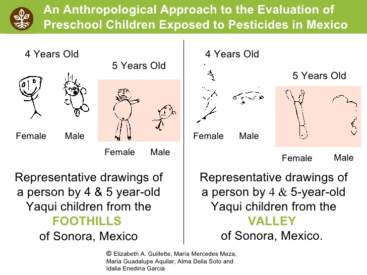 728x546 regenerative century farming a solution to global warming - 5 Year Old Drawing Of A Person