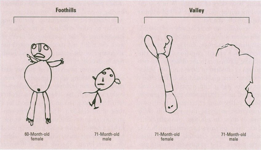 850x488 representative drawings of a person - 5 Year Old Drawing Of A Person