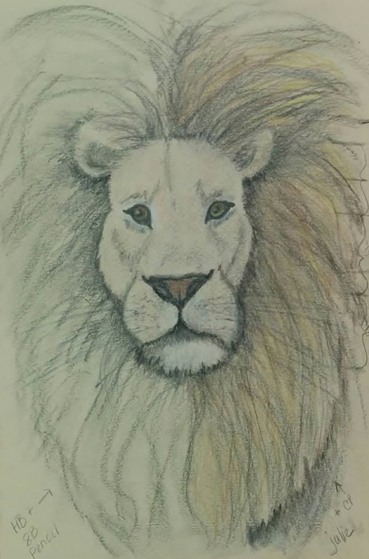 526x796 Animals Wild Tame Draw, Paint, Sculpt - 5th Grade Drawings