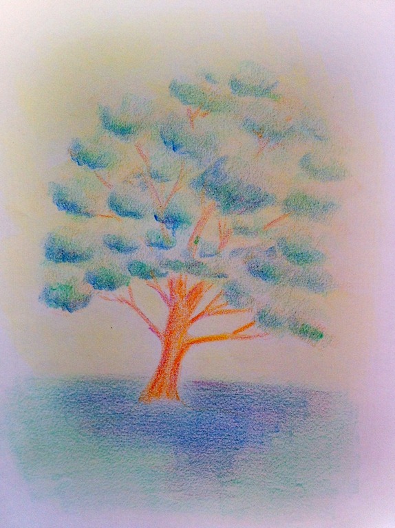 574x768 botany homeschooling waldorf has moved - 5th Grade Drawings