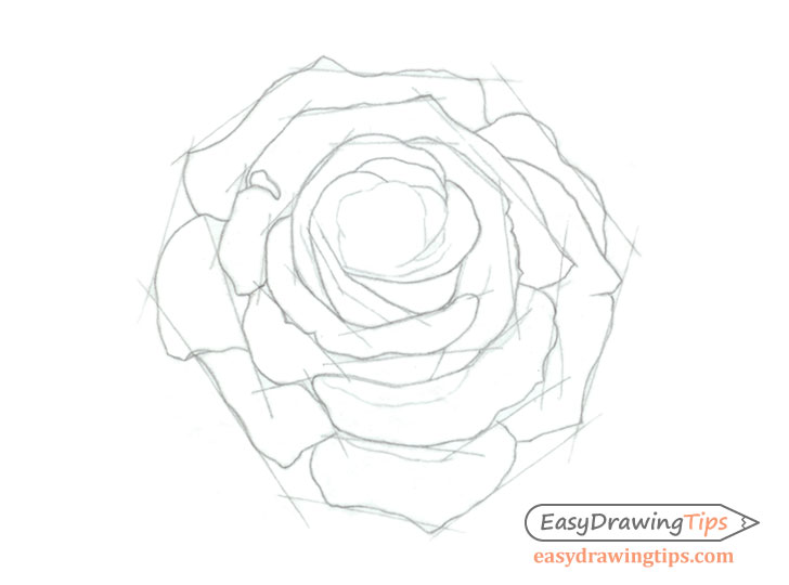 728x540 How To Draw A Rose Step - 6 Drawing