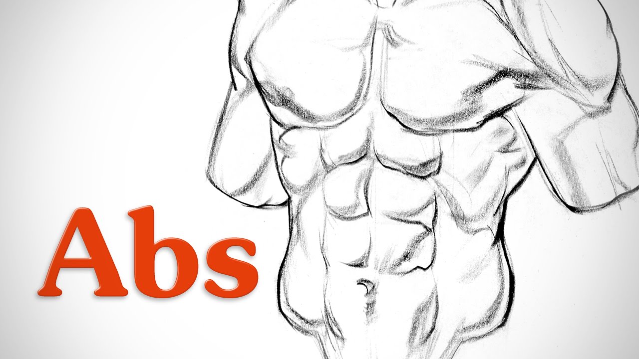 1280x720 How To Draw Abs - 6 Pack Abs Drawing. 
