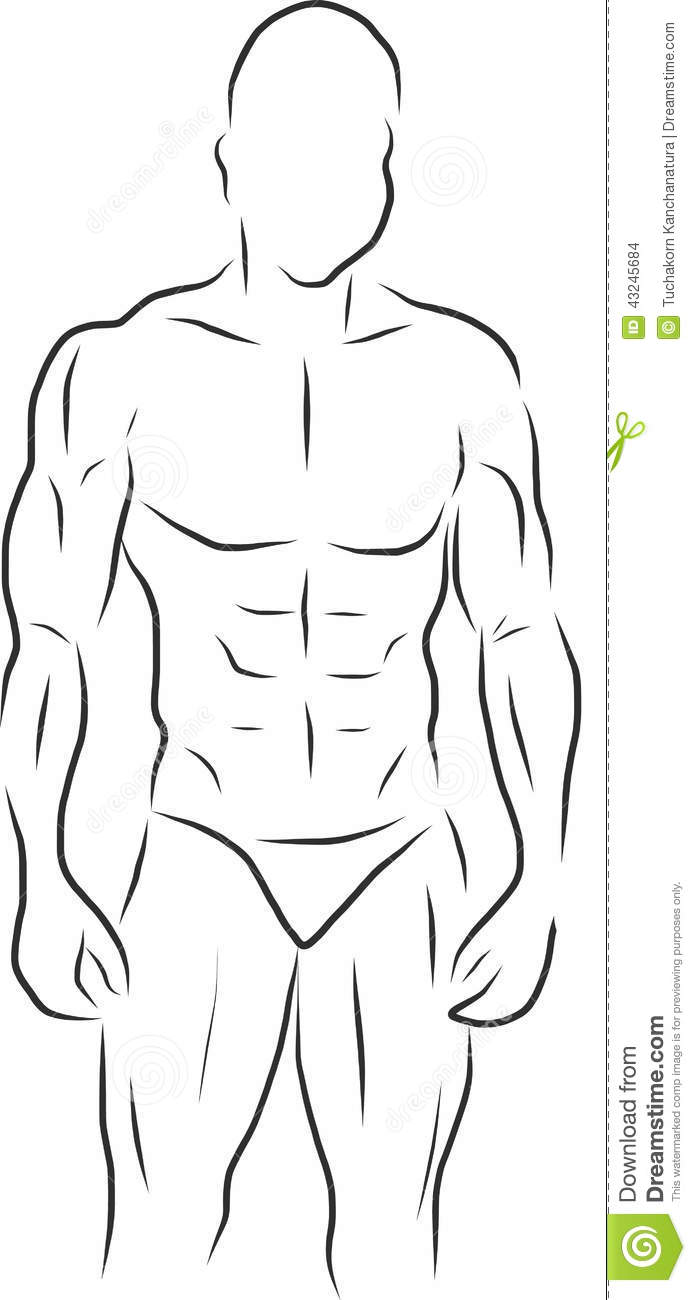 696x1300 pack abs graphic free download - 6 Pack Abs Drawing