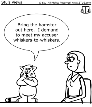 300x350 judge punishes defendant for invoking sixth amendment rights - 6th Amendment Drawing