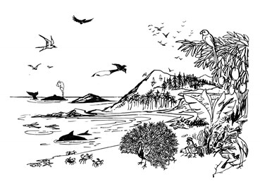 369x268 days of creation in line drawings - 7 Days Of Creation Drawing