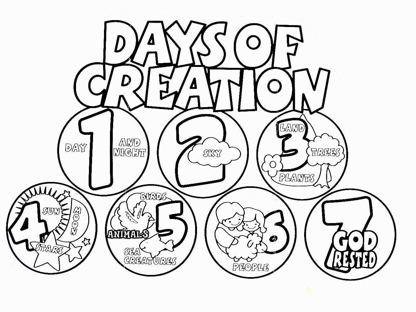 Days Of Creation Coloring Pages Free