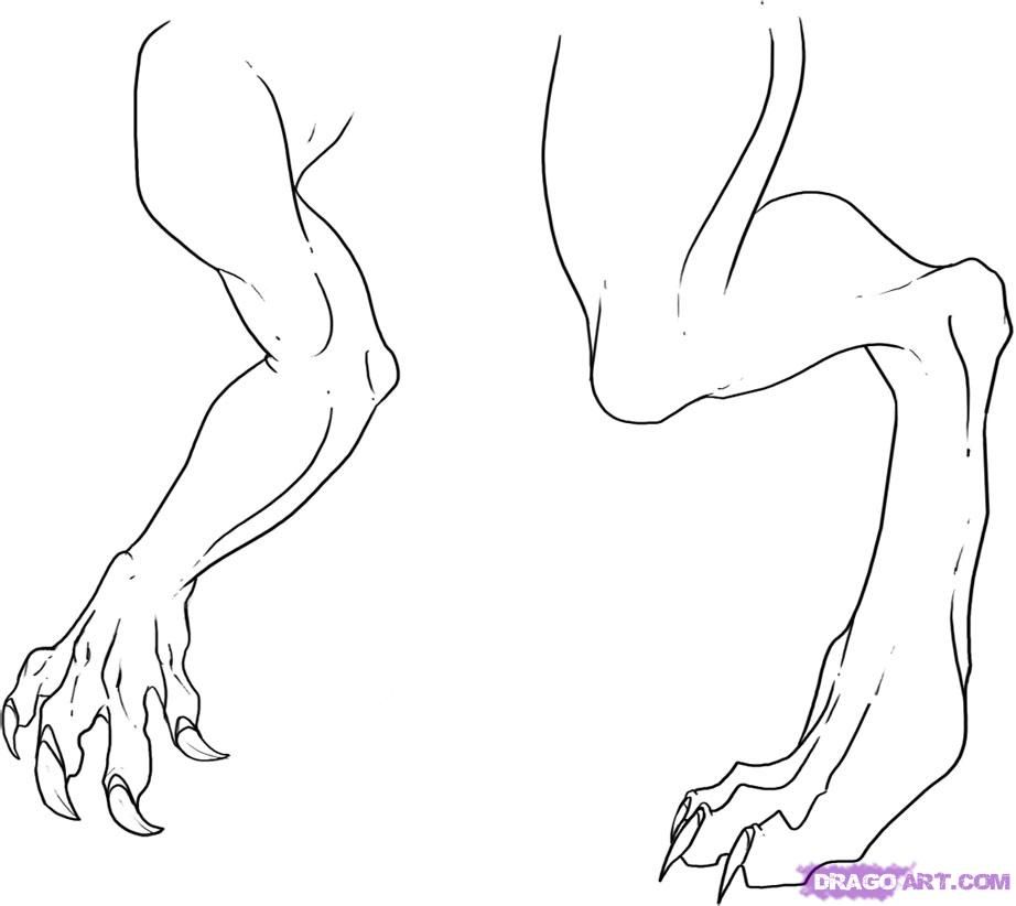 922x822 How To Draw Dragon Legs Arms And Talons Step Dragons - 7 Drawing