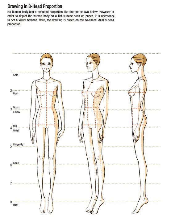 554x720 Body Drawing In Head - 8 Head Figure Drawing