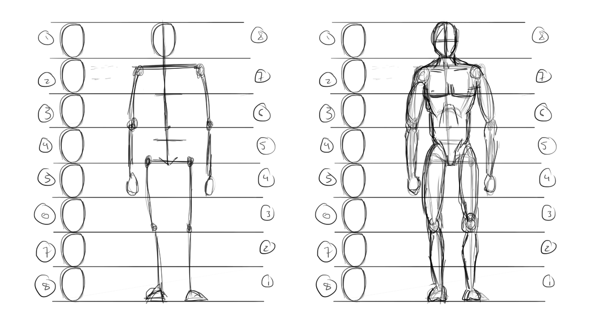 8 Head Figure Drawing At Explore Collection Of 8 Head Figure Drawing