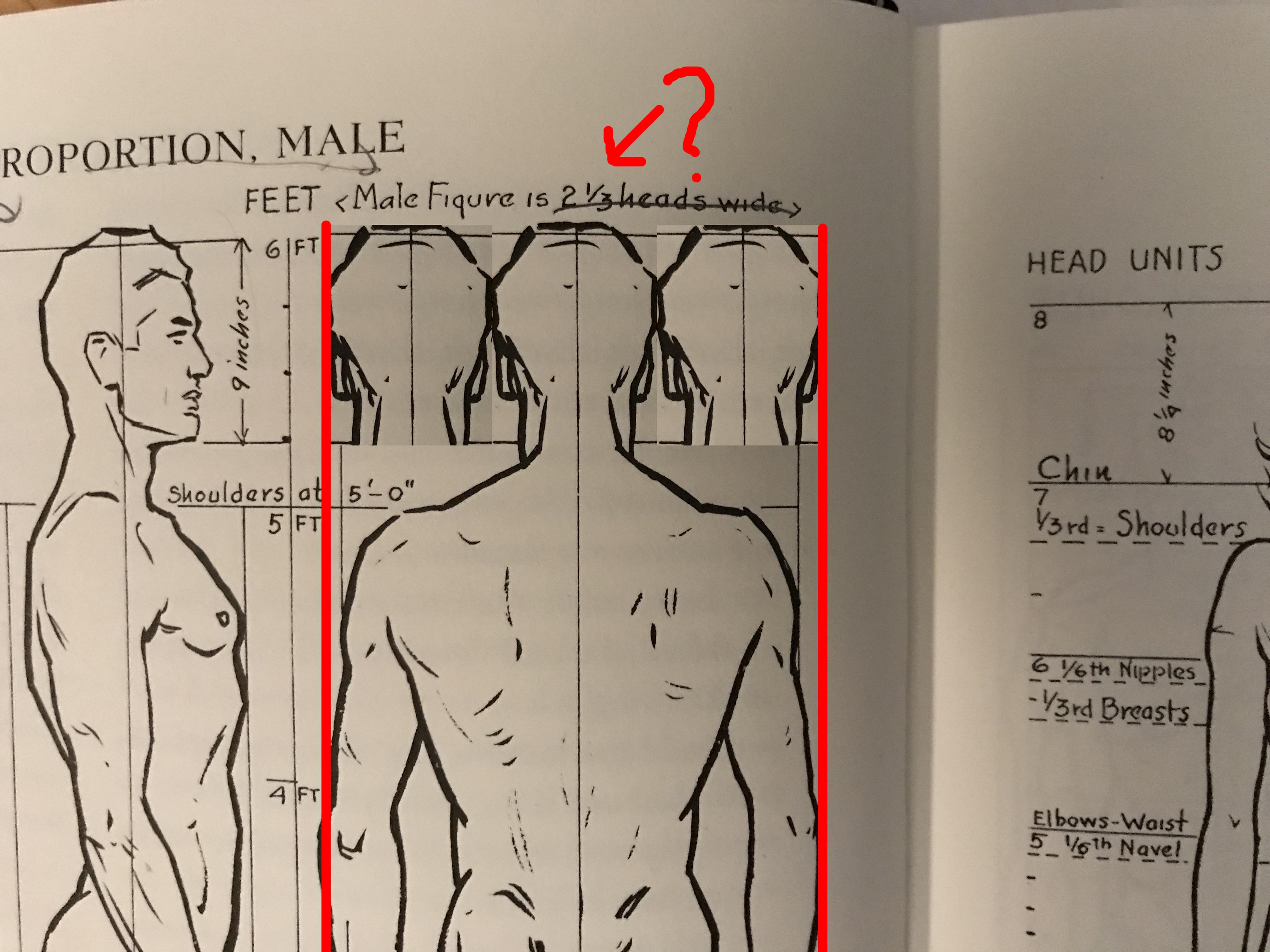 4032x3024 recently picked up loomis' figure drawing for all it's worth - 8 Head Figure Drawing