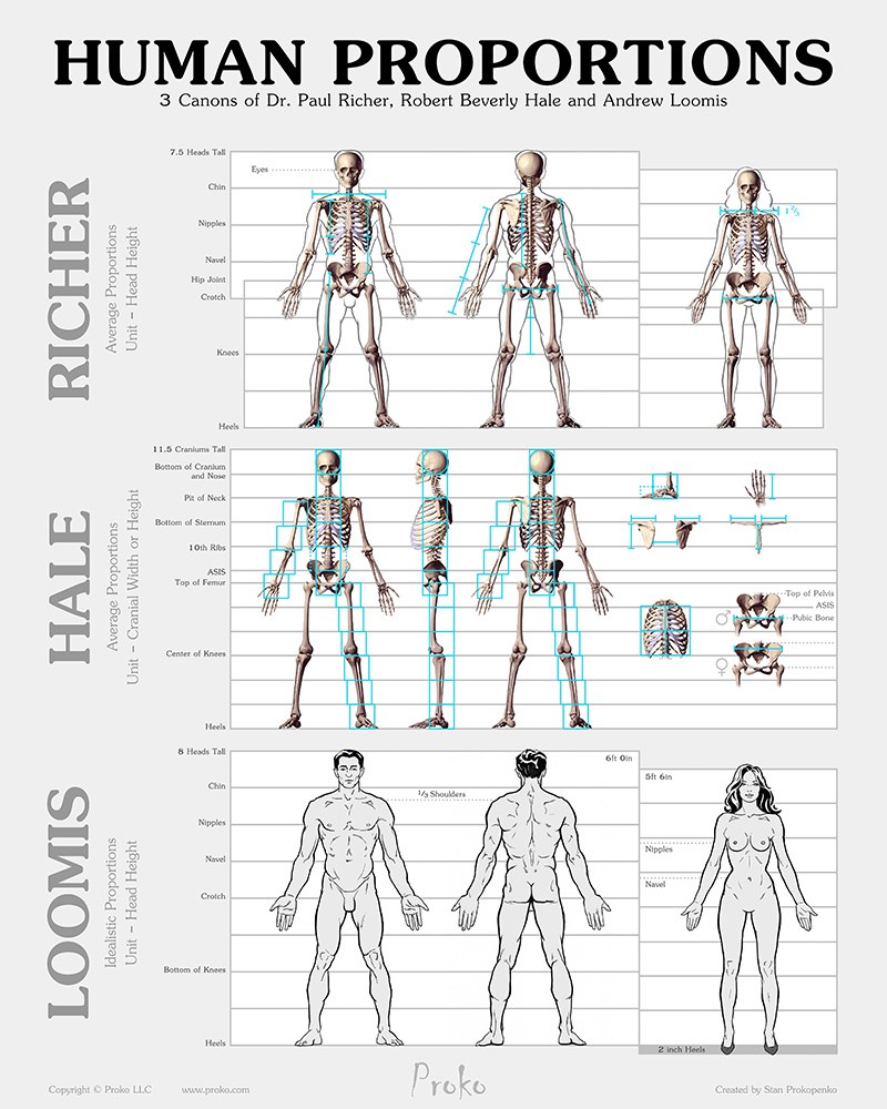 8 Head Figure Drawing at PaintingValley.com | Explore collection of 8 ...