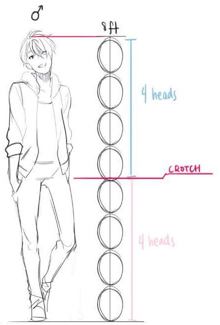 440x648 on twitter this pic shows jungwoo's height = heads - 8 Head Figure Drawing