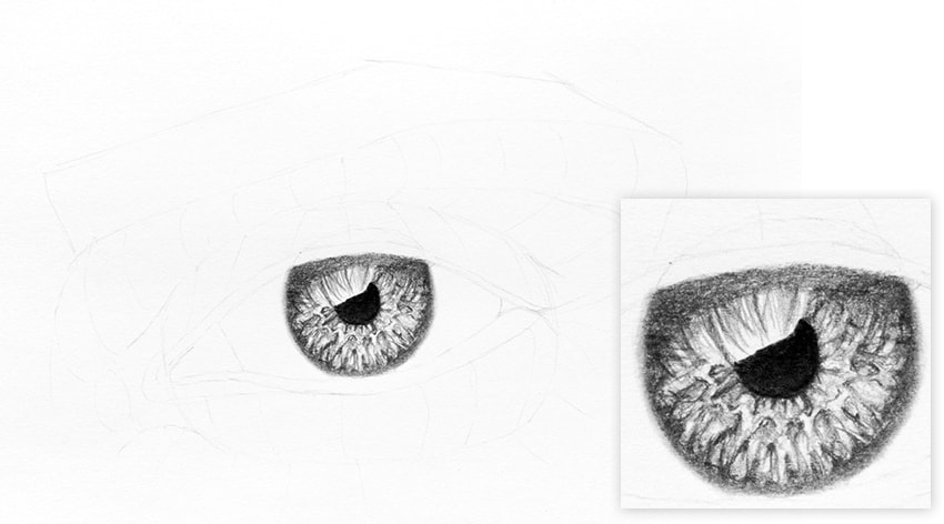 850x472 How To Draw A Realistic Eye - 9 Drawing