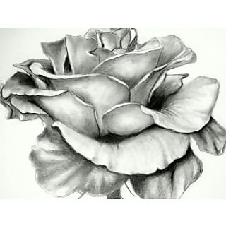 320x320 Buy Beautiful Rose Drawing Online From Shopclues - A Beautiful Rose Drawing