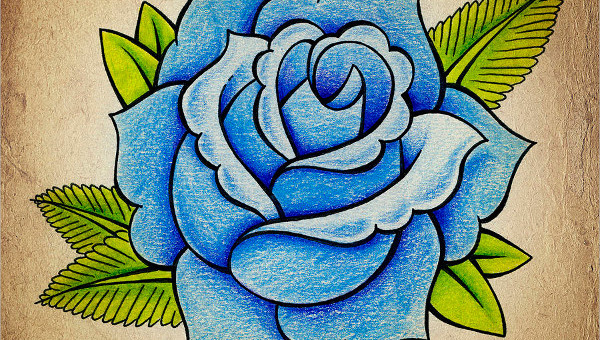 600x340 Rose Drawings - A Beautiful Rose Drawing