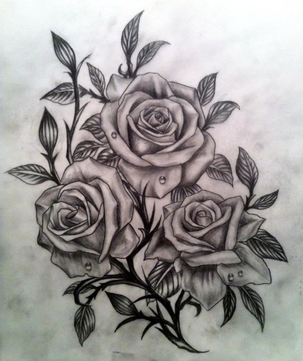 600x714 Drawings Of Roses - A Beautiful Rose Drawing